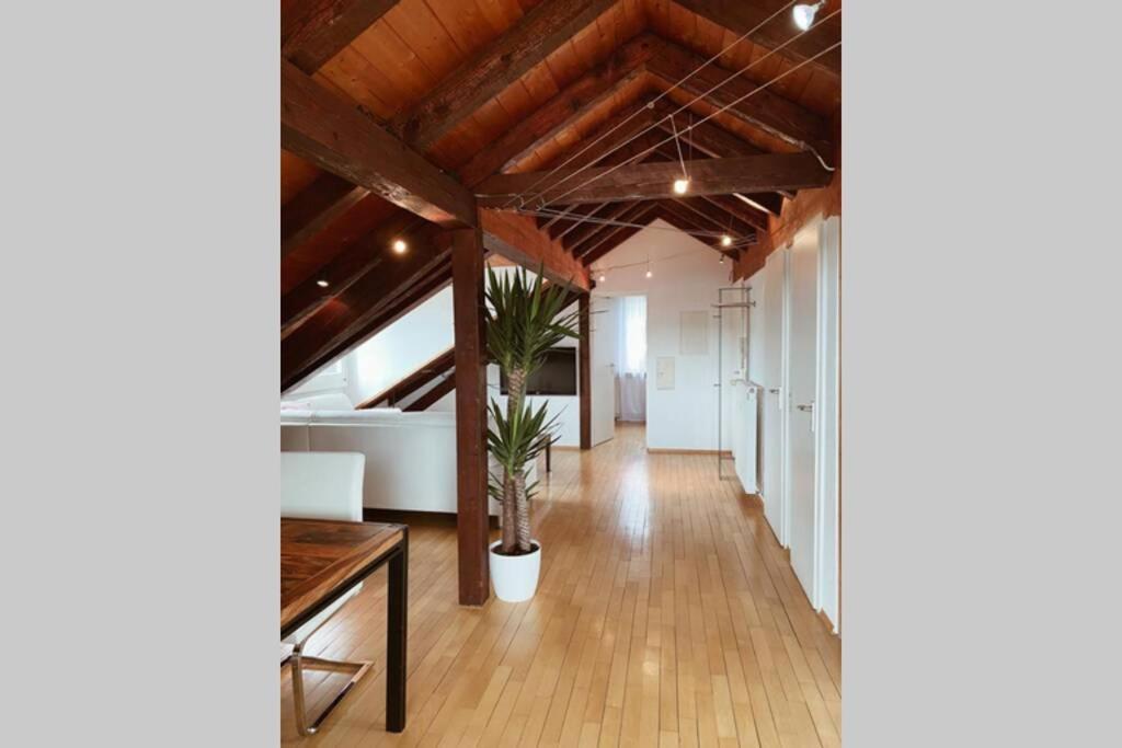 شقة *Dreilaendereck* Wifi+ Balkon+Garage Basel Mulhouse Maulburg المظهر الخارجي الصورة
