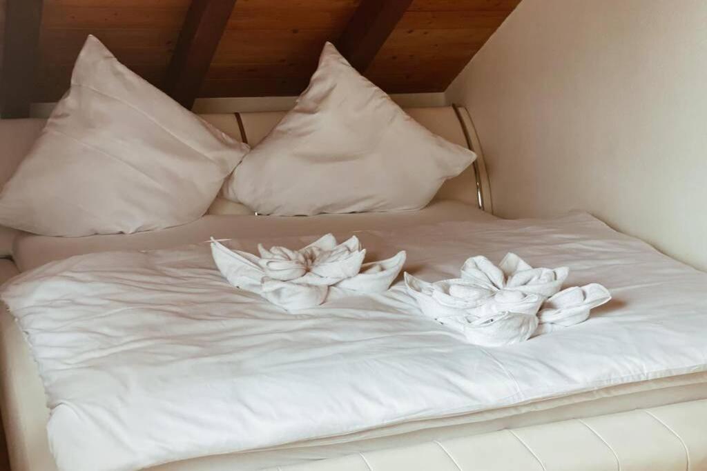 شقة *Dreilaendereck* Wifi+ Balkon+Garage Basel Mulhouse Maulburg المظهر الخارجي الصورة