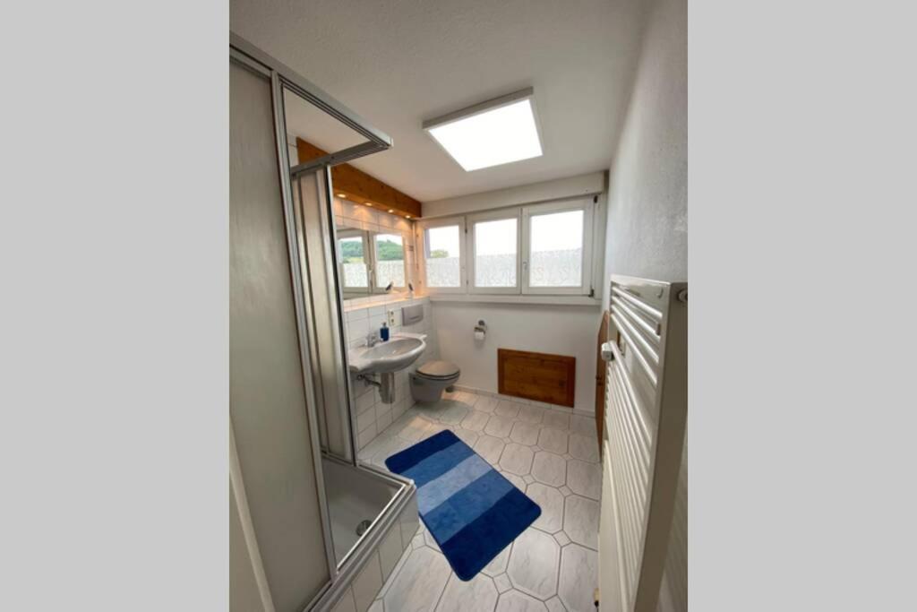 شقة *Dreilaendereck* Wifi+ Balkon+Garage Basel Mulhouse Maulburg المظهر الخارجي الصورة