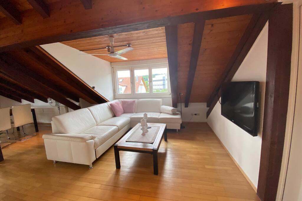 شقة *Dreilaendereck* Wifi+ Balkon+Garage Basel Mulhouse Maulburg المظهر الخارجي الصورة