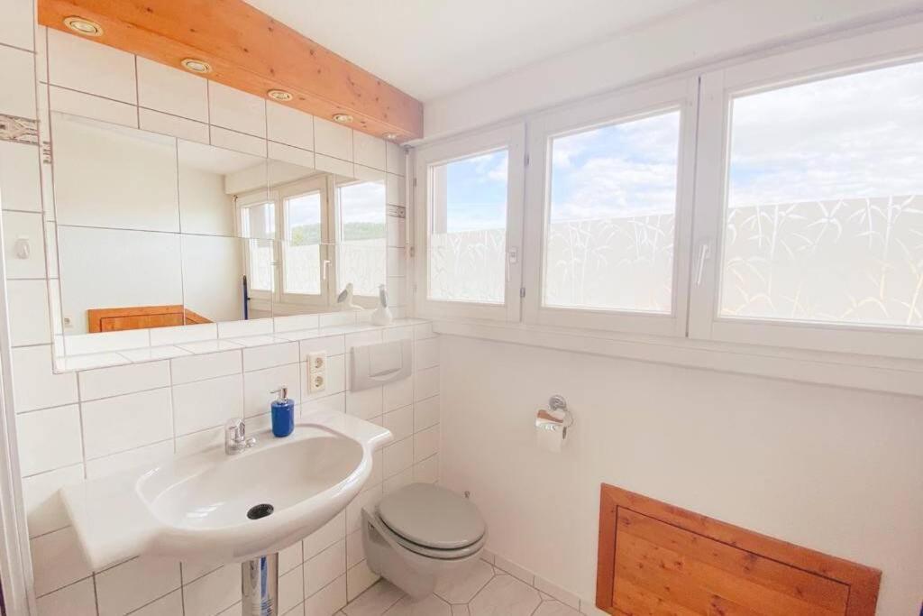 شقة *Dreilaendereck* Wifi+ Balkon+Garage Basel Mulhouse Maulburg المظهر الخارجي الصورة